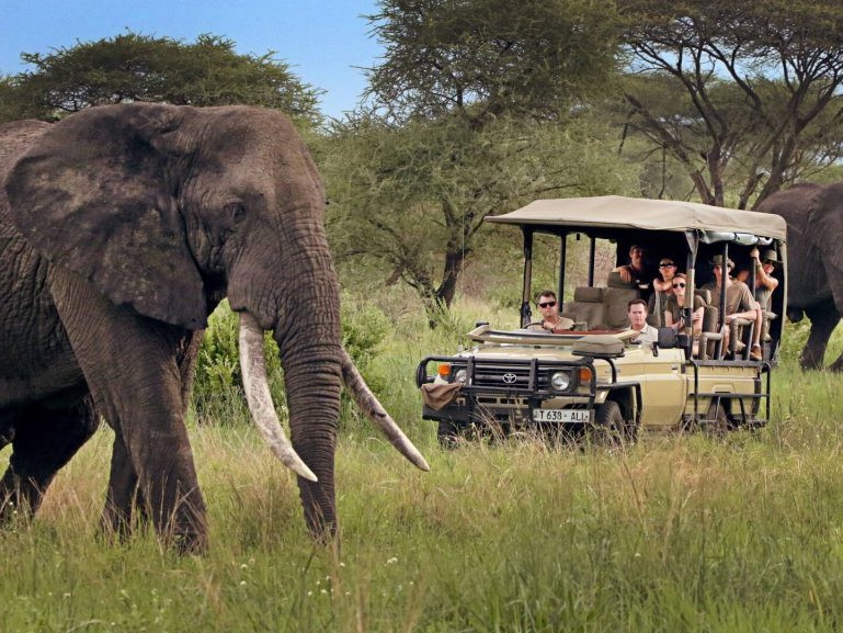 Safari + Zanzibar Combo