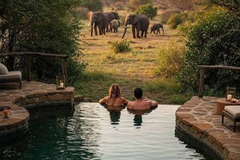 Honeymoon Safari Tanzania