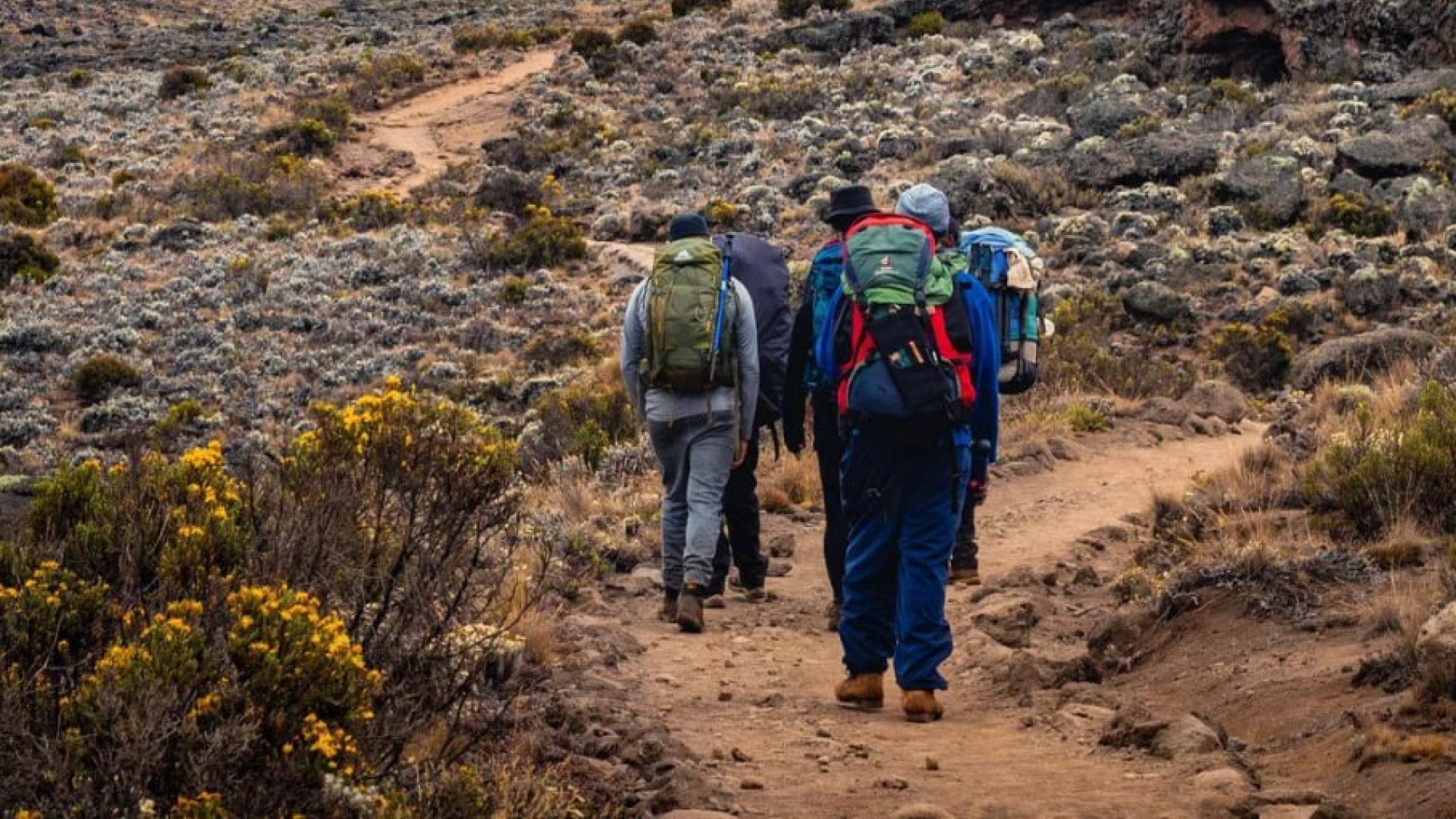 Kilimanjaro Marangu Route