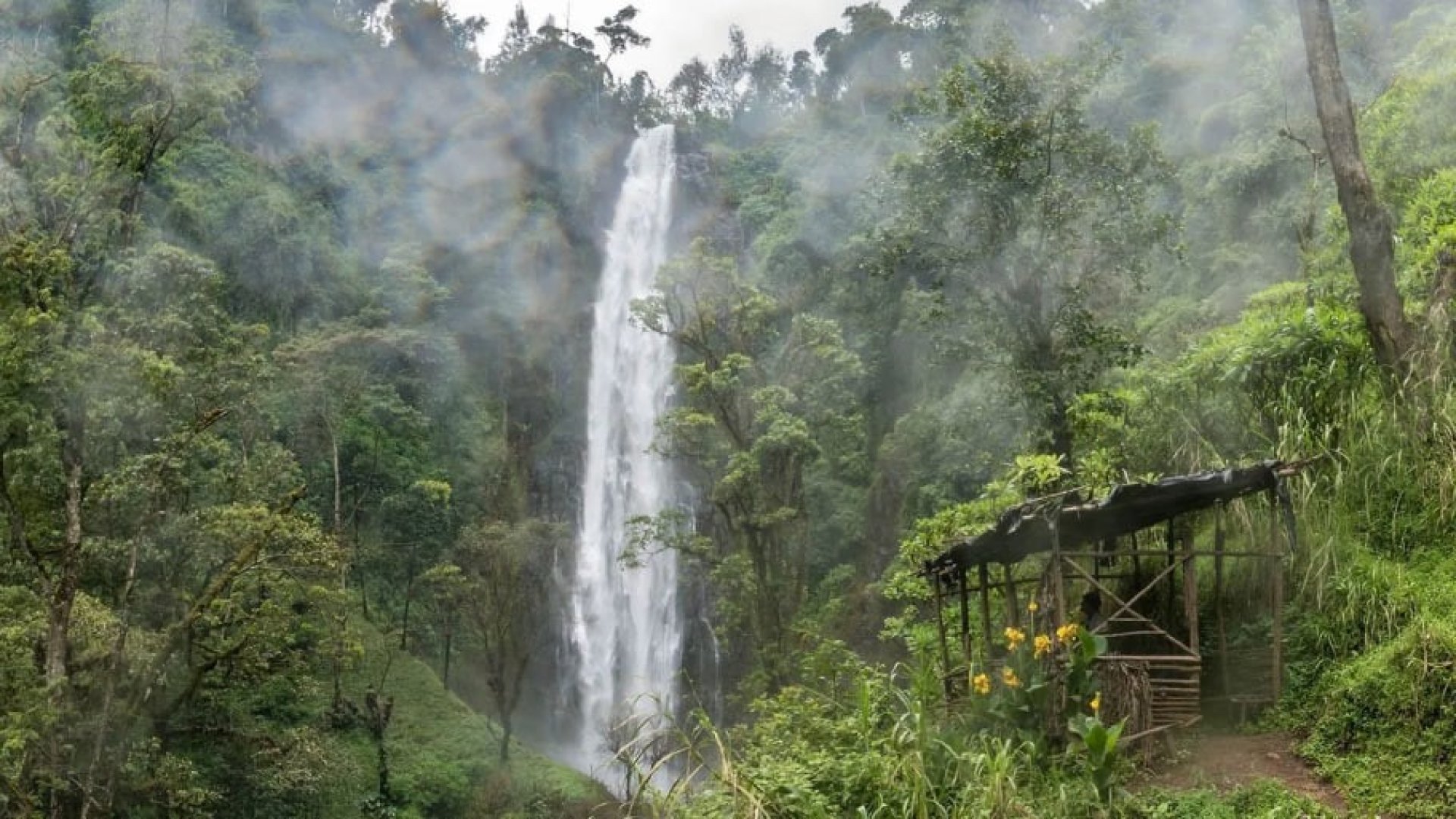 Materuni Waterfall & Coffee Tour