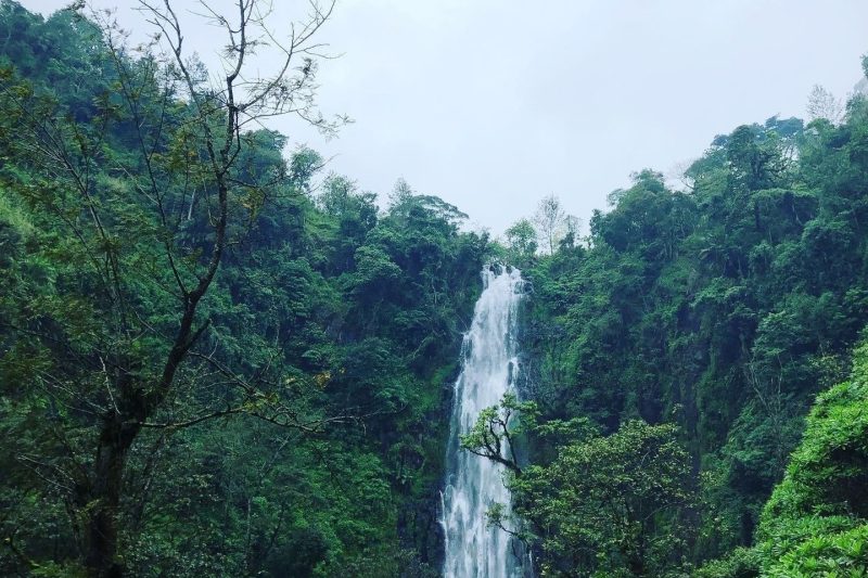 Materuni Waterfall & Coffee Tour